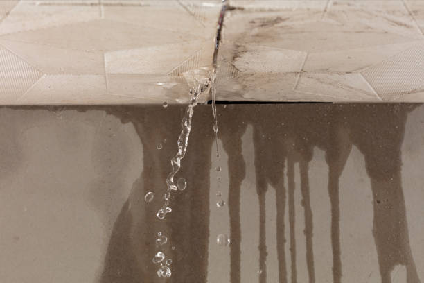 Professional Structural Drying technician working in Austin, AR